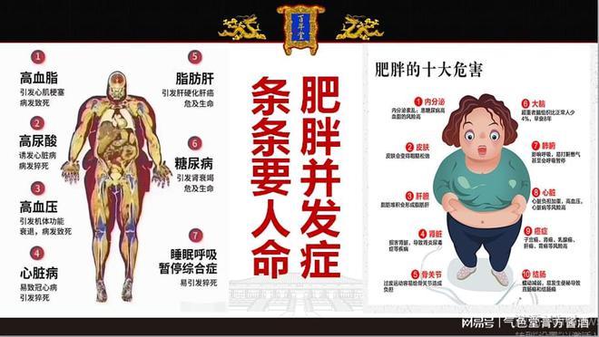 重启自愈机制摆脱肥胖困扰冰球突破平台气血减脂：(图2)