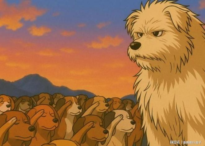 爆火!身价飙升至10万美元狗主人被扒冰球突破网站贵州下司犬“查理国王”(图11) 爆火!身价飙升至10万美元狗主人被扒冰球突破网站贵州下司犬“查理国王”(图11)