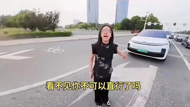 后续：女司机气到流产公布完整行车记录仪冰球突破正规网站河北女司机与骑手冲突(图15)