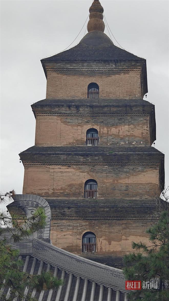 地长蘑菇大雁塔受潮城墙布满青苔气象局解释成因冰球突破豪华版手机版西安连续一个多月降雨遍(图3) 地长蘑菇大雁塔受潮城墙布满青苔气象局解释成因冰球突破豪华版手机版西安连续一个多月降雨遍(图3)